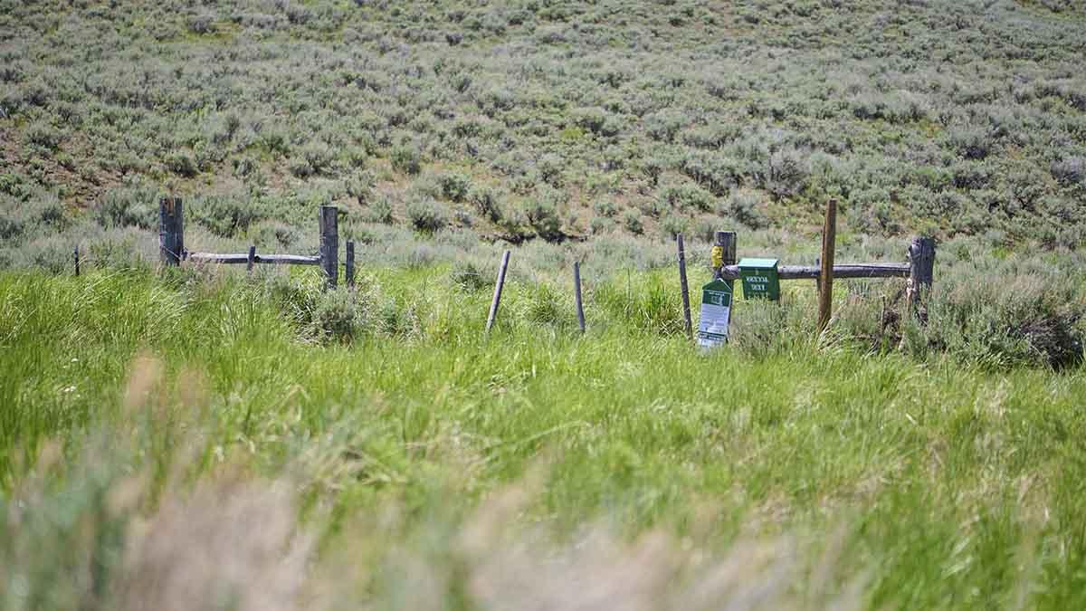A fence runs between a field of invasive grasses and sagebrush at Rinker Rock Creek Ranch in central Idaho.